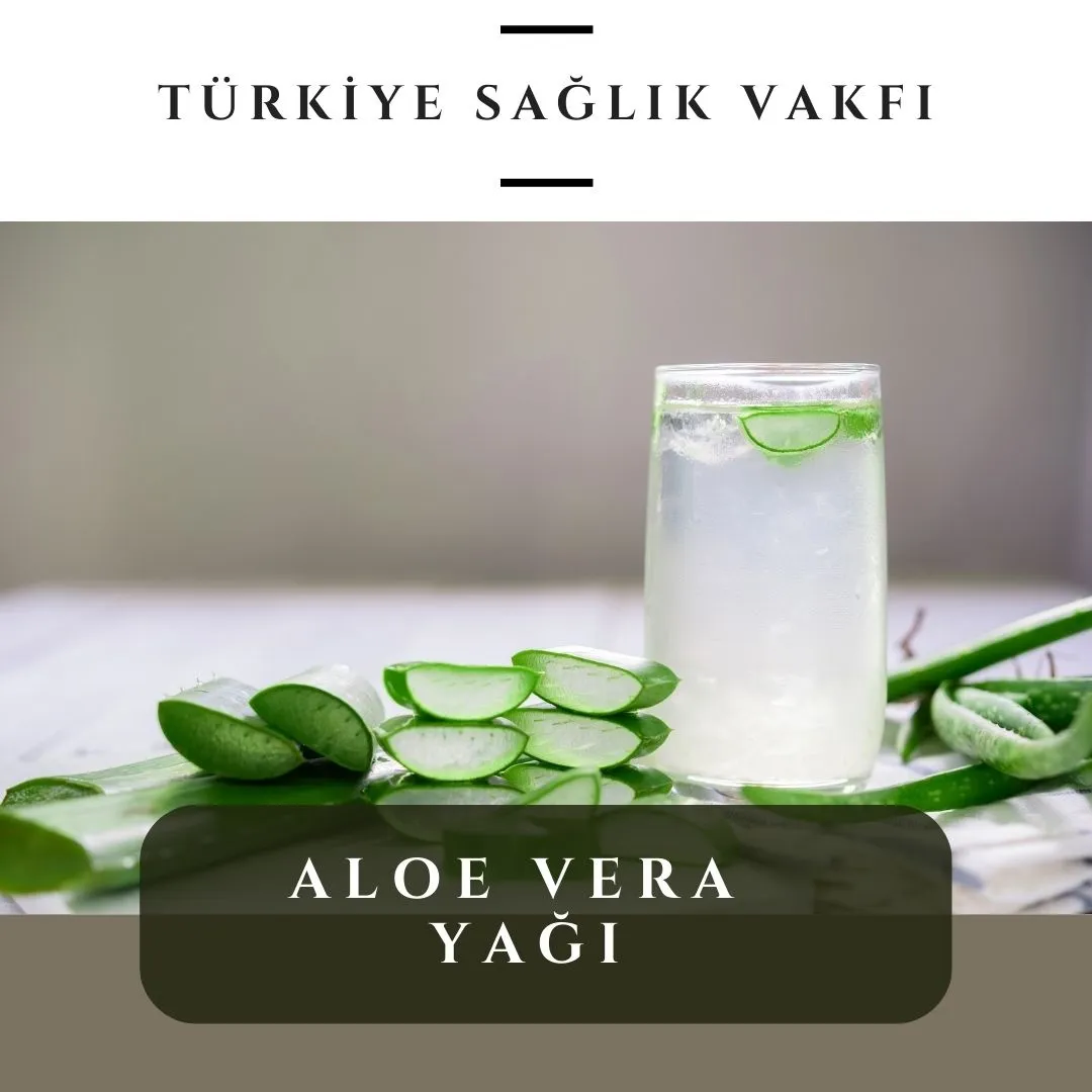 Aloe Vera Yağının 7 Etkili Kullanım Alanı