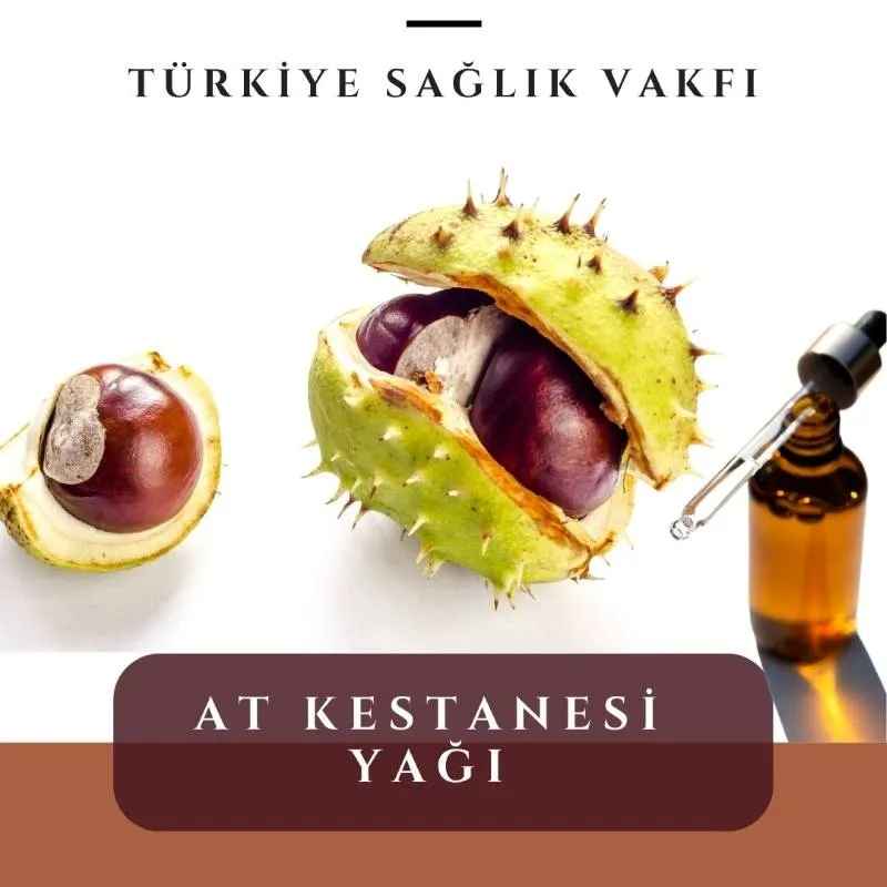 At Kestanesi Nedir? Kremi ve Yağı ile Doğal Sağlık Desteği