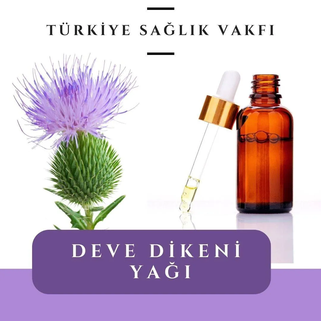 Deve Dikeni Yağı: Karaciğerinizi Doğal Yoldan Koruyan Şifa Kaynağı