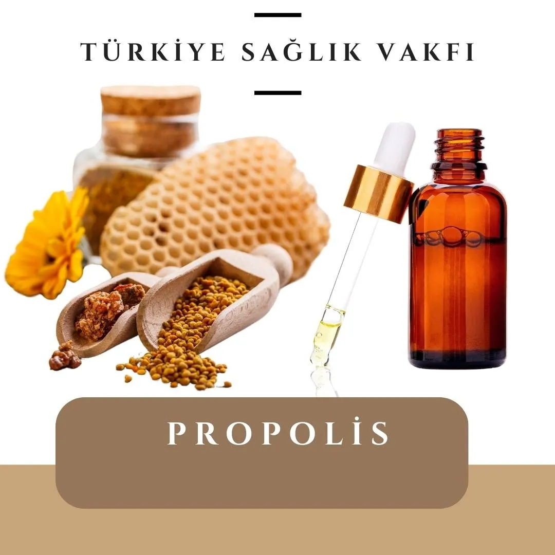 Propolis: Ciltten Dişe, Bağışıklıktan Kansere Etkili Bir Şifa Kaynağı
