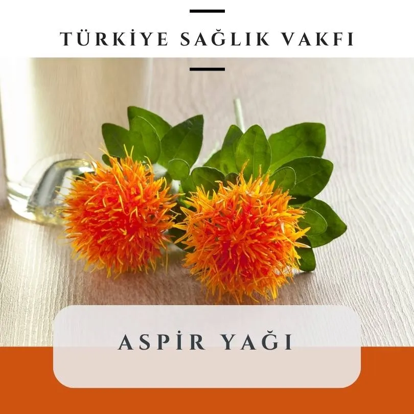 Aspir Yağı Faydaları: Mutfaktan Cilt Bakımına Her Şey