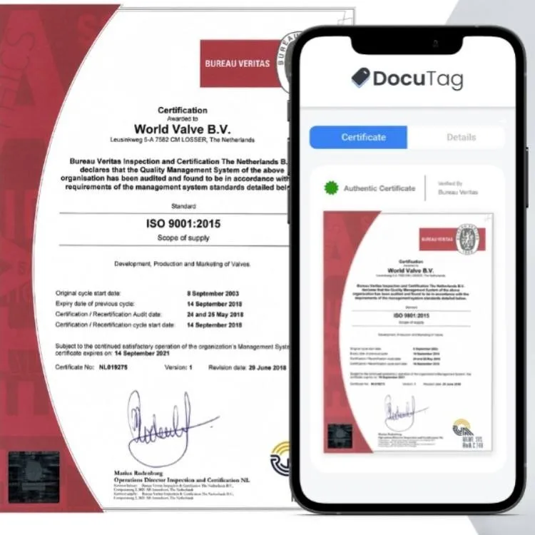 E-Devlet Onaylı Sertifikalarda Kaos: Eğitim Verilmeden Dağıtılan Belgeler ve Doğan Riskler